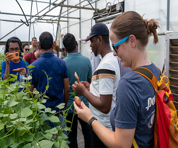 Students in greenhouse as part of Summer Graduate Research Experience program