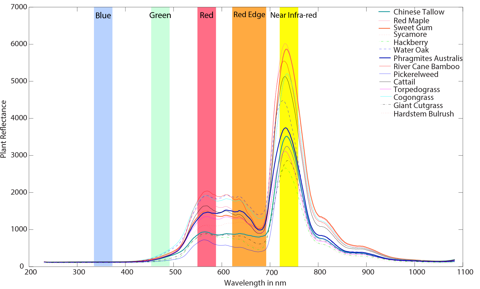 Typical Plant Reflectance Characteristics