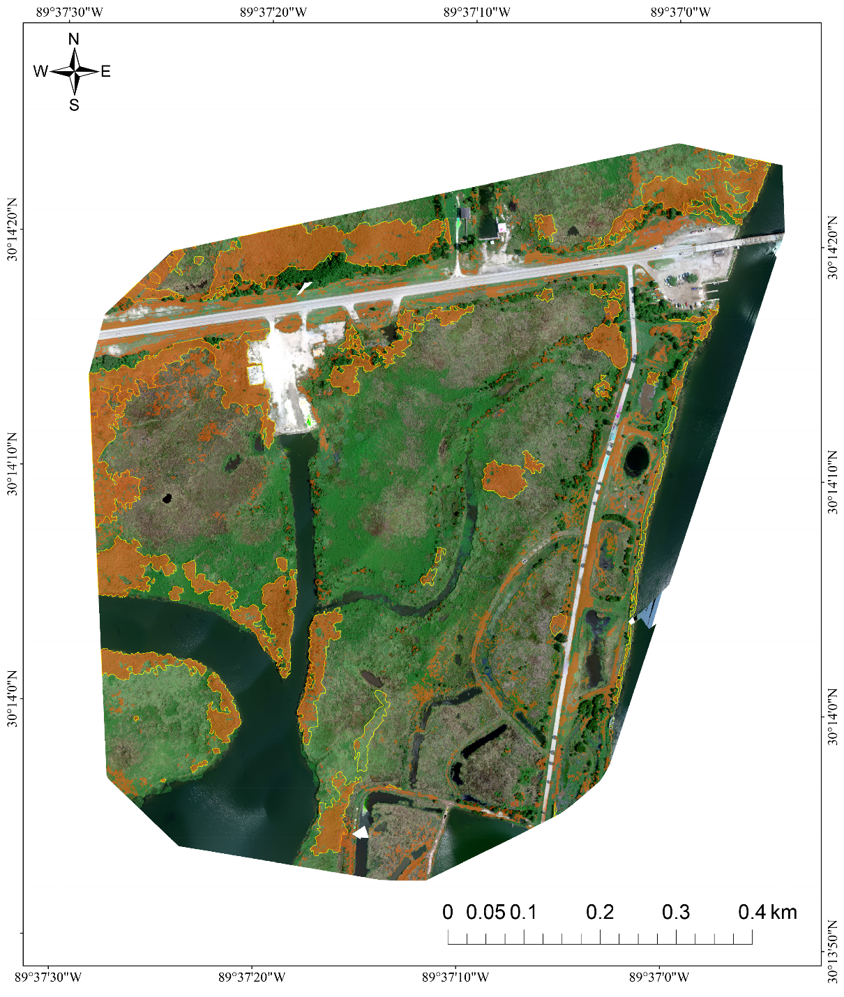 Phragmites Classification Maps