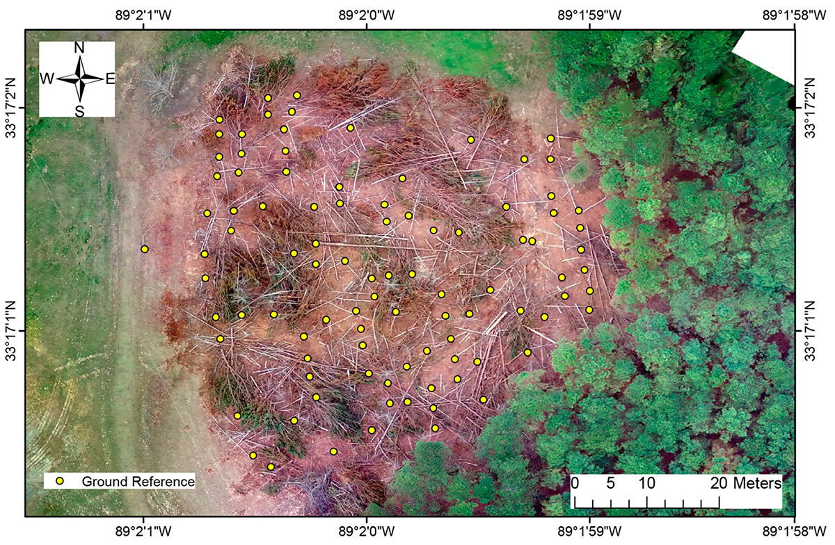 Study Site Captured by UAV