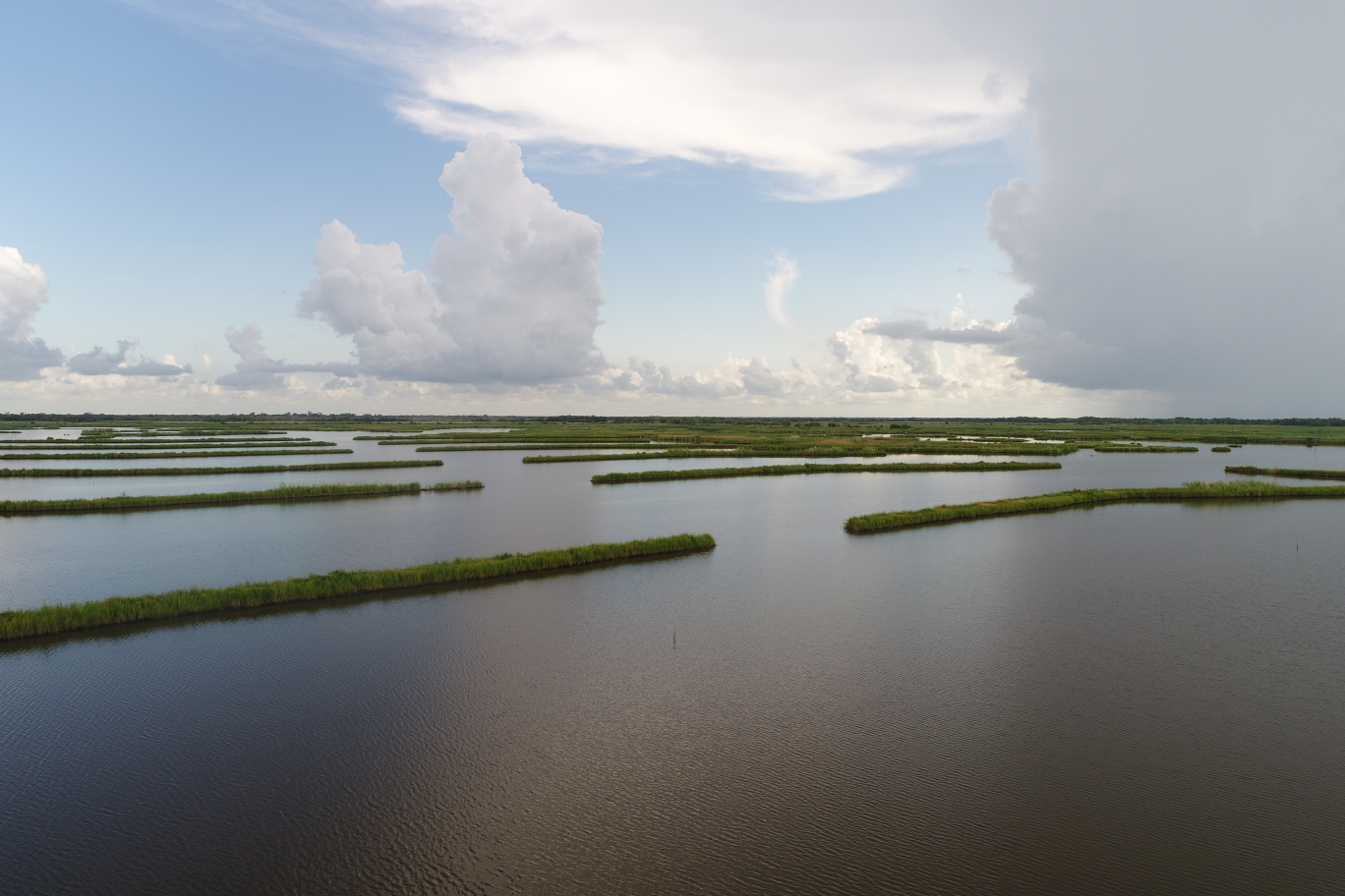 Submerged Aquatic Vegetation Survey in Southwest Louisiana