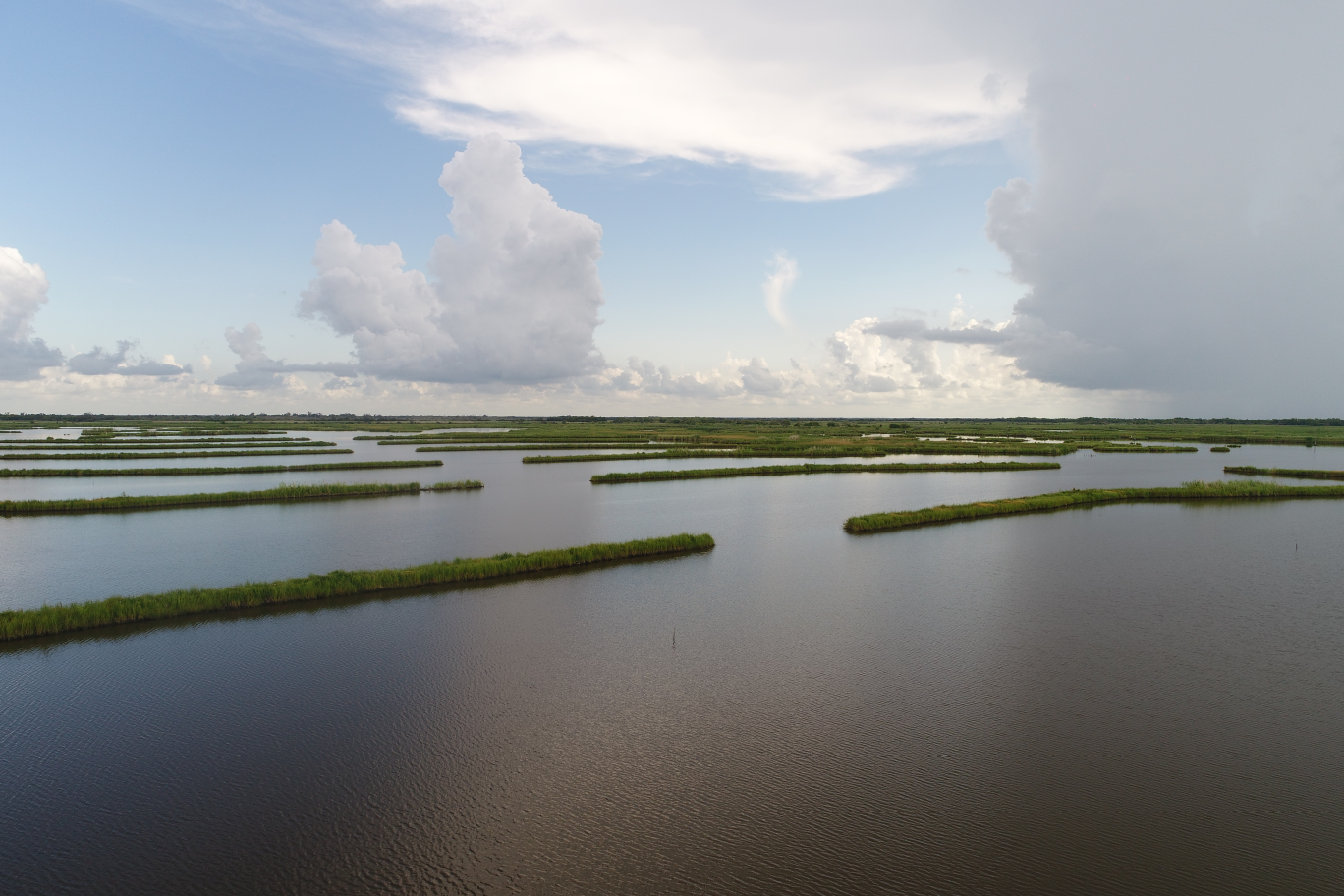 Submerged Aquatic Vegetation Survey Photo