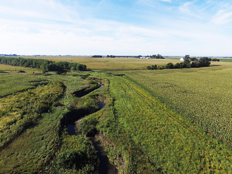 Iowa State Extension